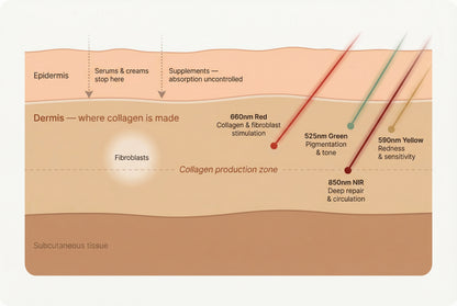 VYVO Encore LED Therapy Mask